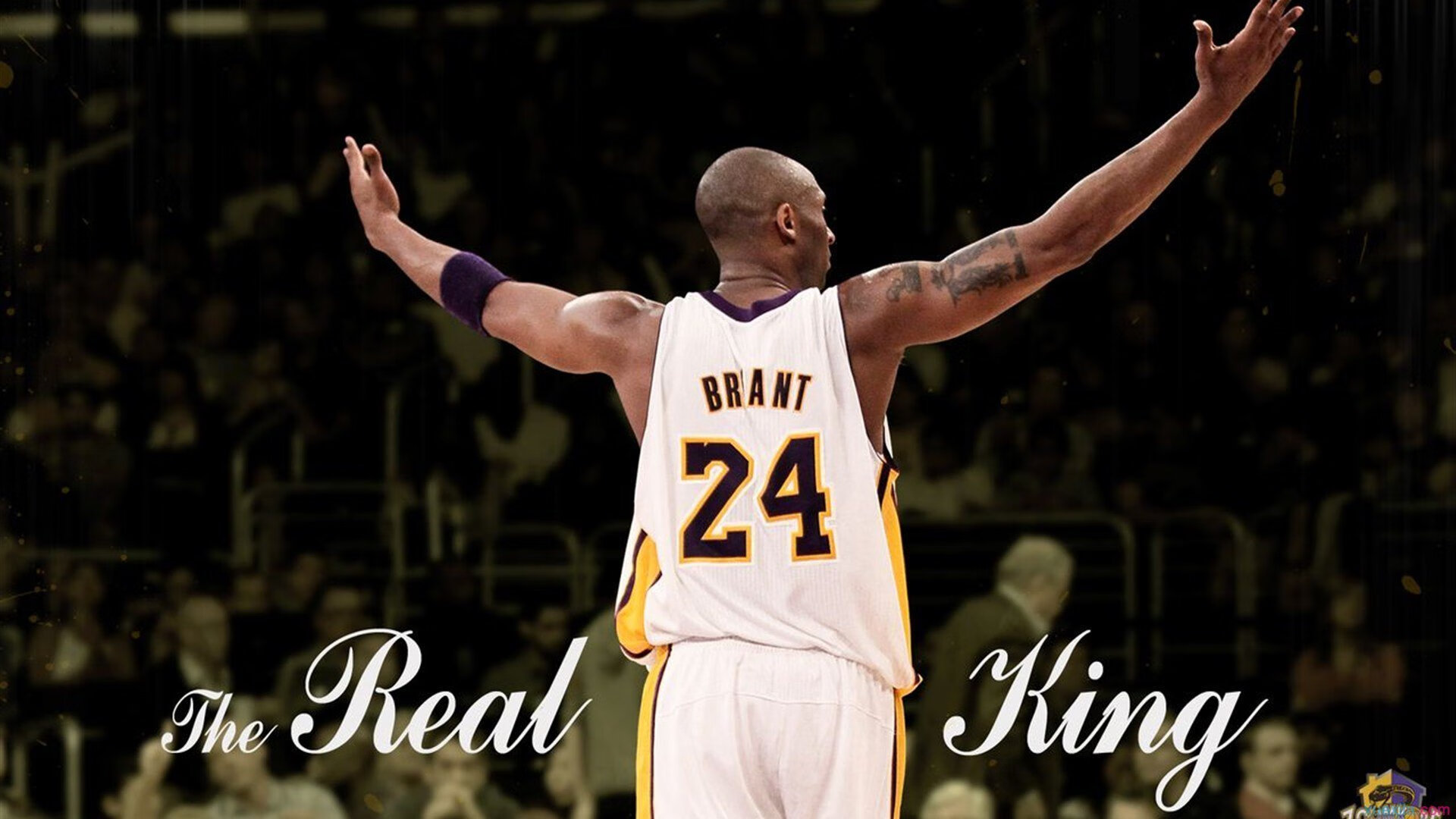 世界杯精彩纷呈：每场比赛都精彩无限！，世界杯最精彩的一场比赛视频