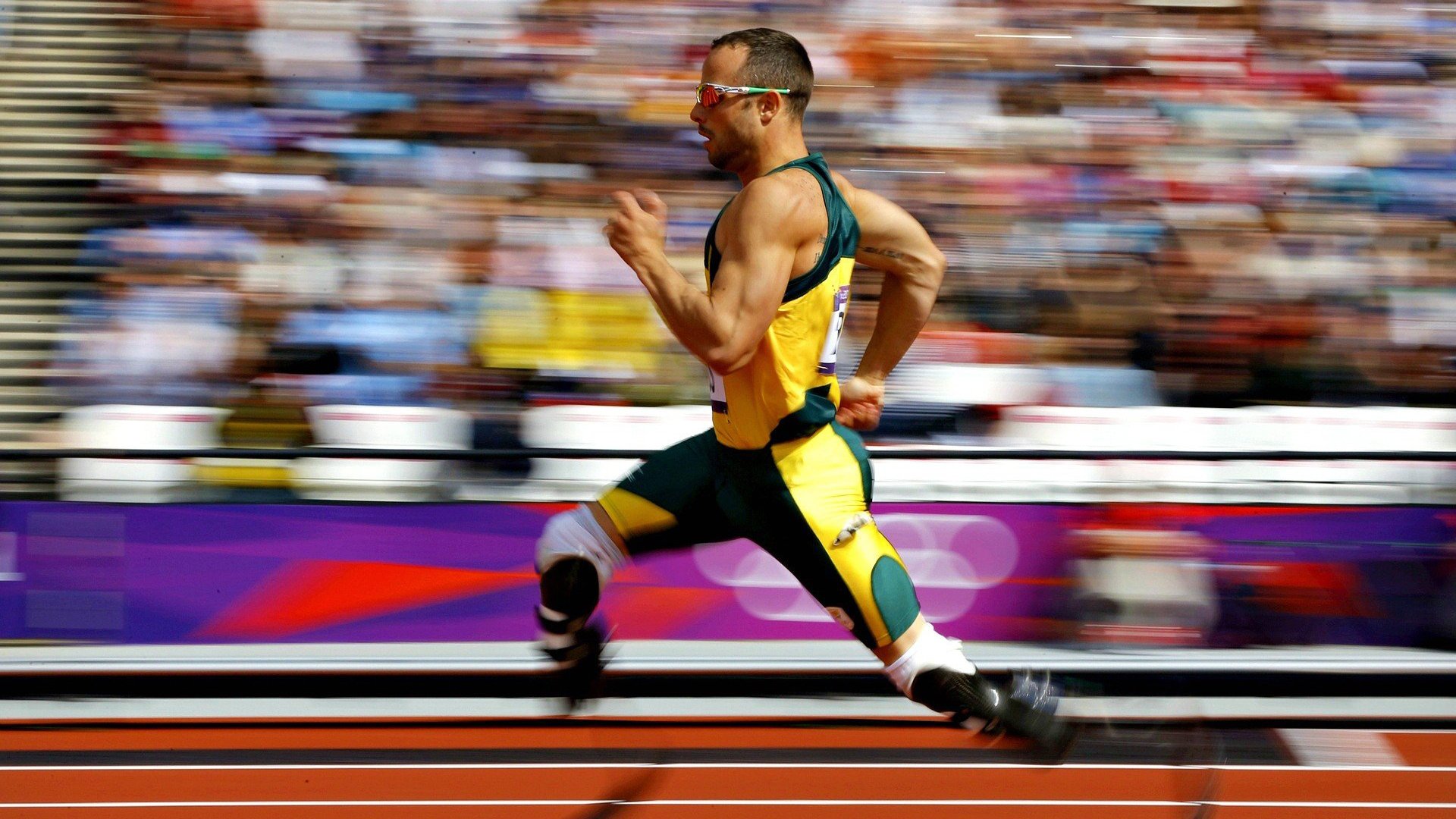 “马科斯·梅特罗的防守反击技术，助力美洲狮队实现跨越式发展”